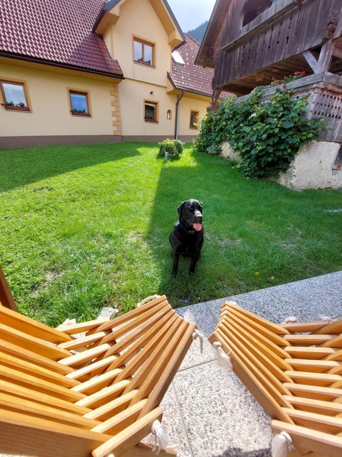 Prázdninový dům Pocitniska Hiska Lastovka