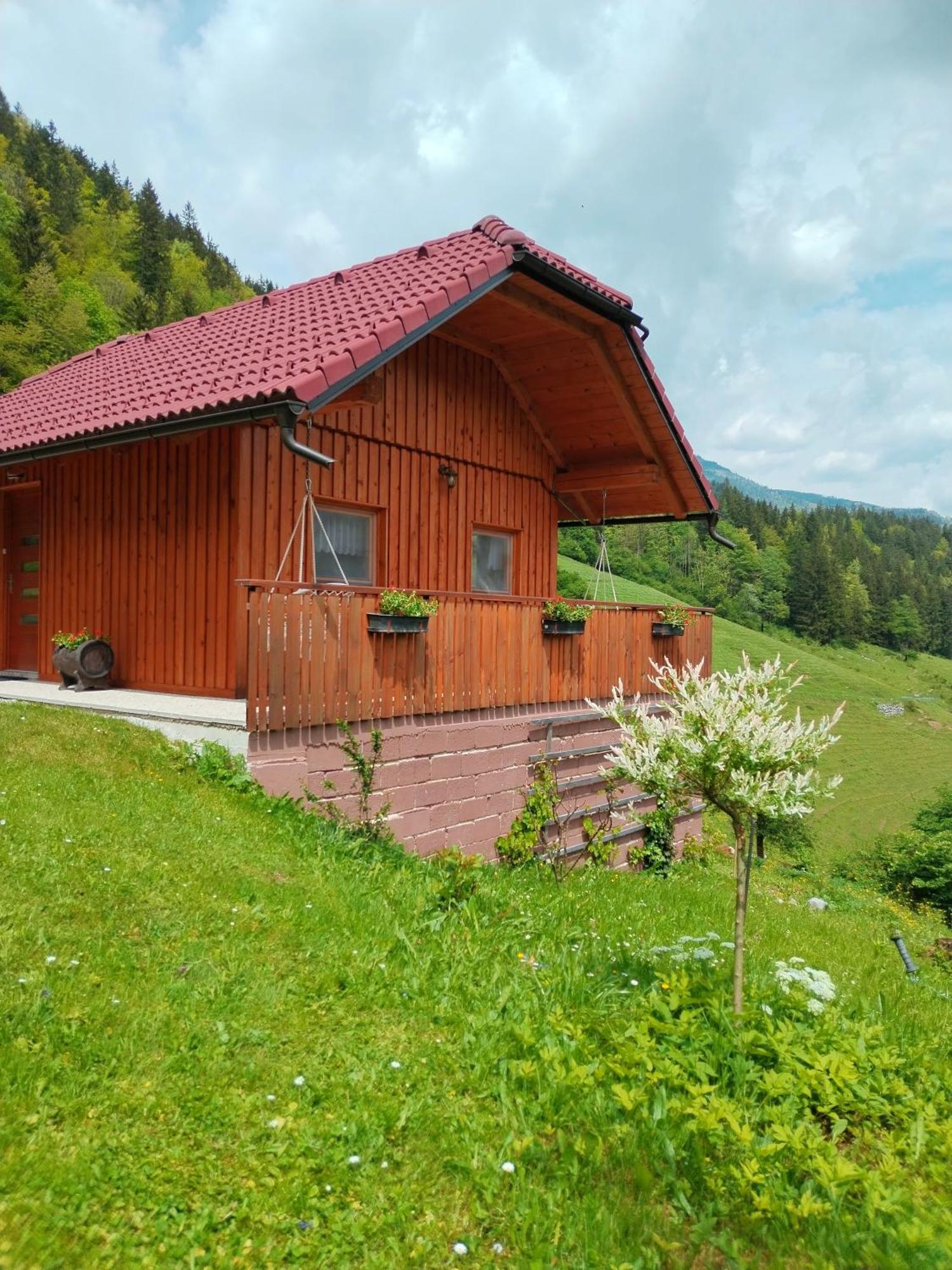 Prázdninový dům Pocitniska Hiska Lastovka